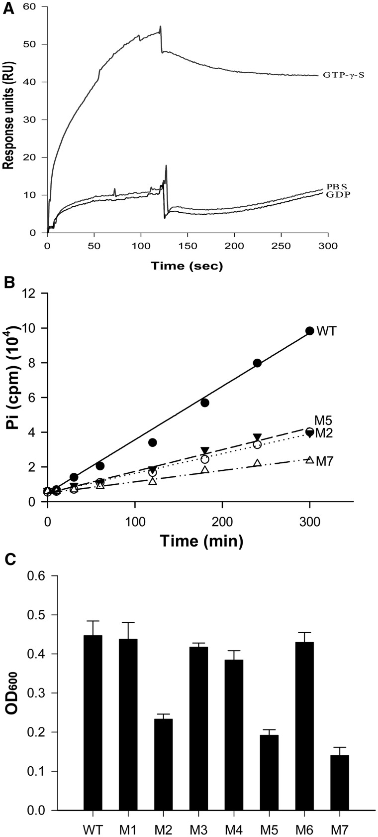 Figure 5.