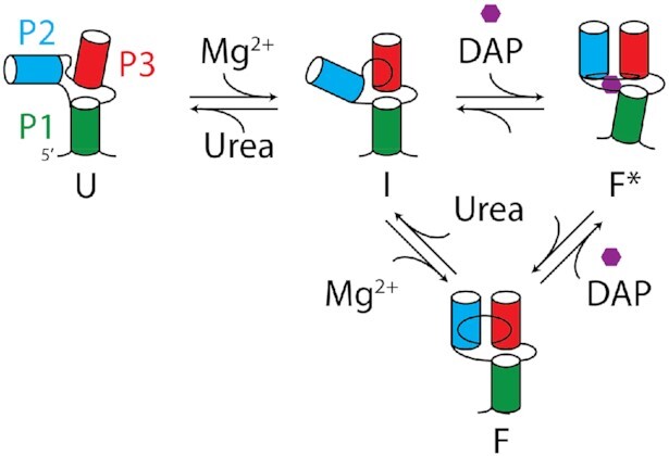 Figure 8.