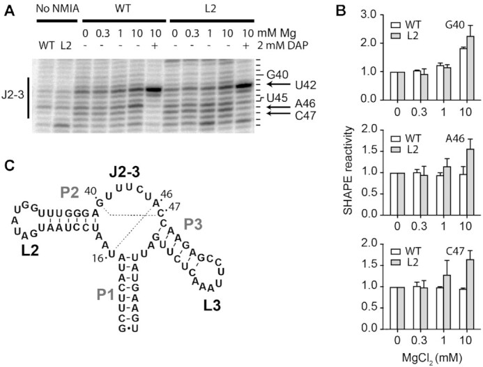 Figure 7.