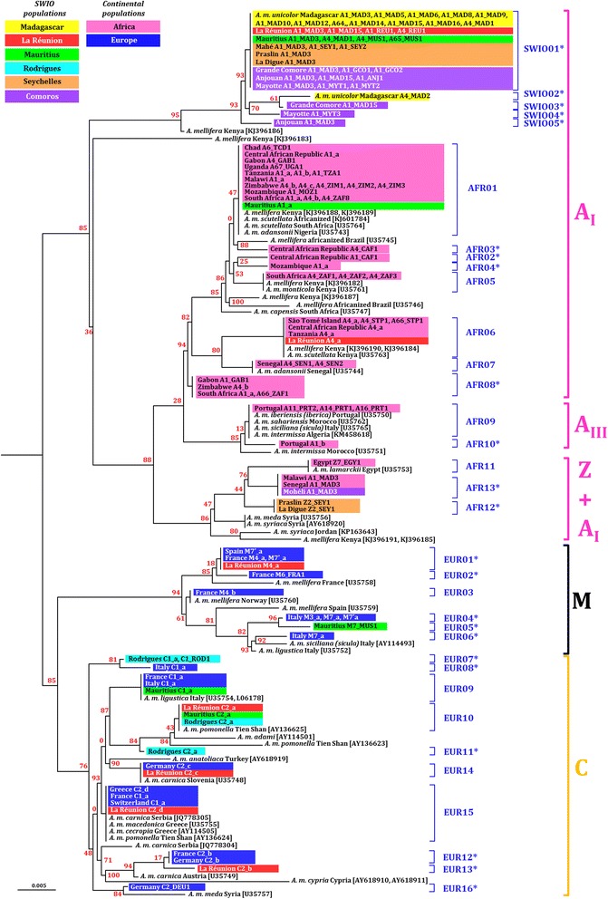 Fig. 6