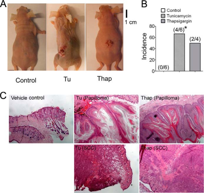 FIGURE 13.