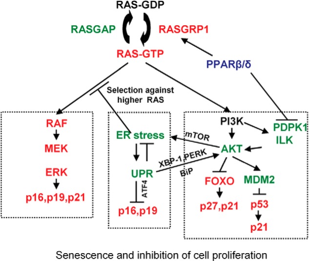 FIGURE 15.