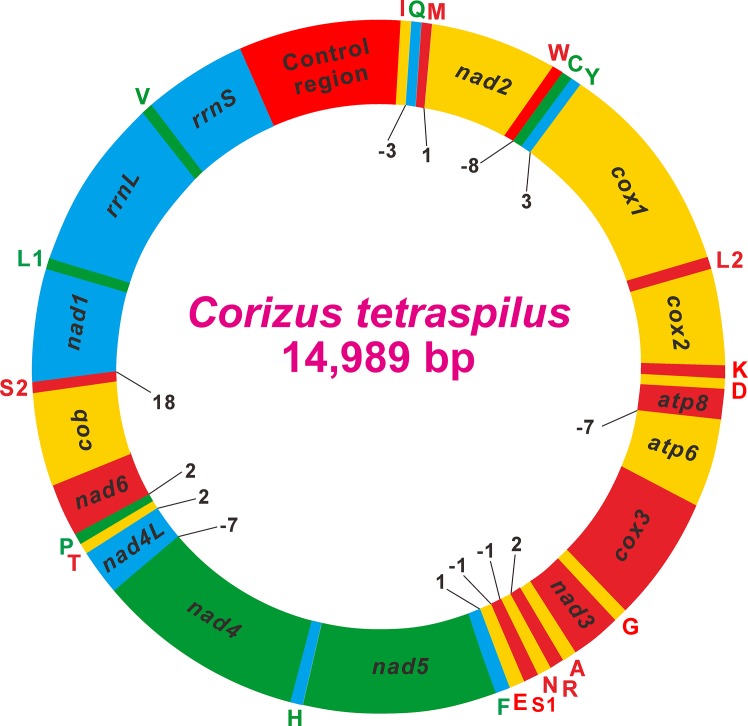 Fig 1