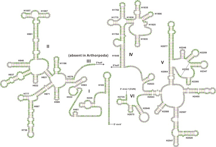 Fig 6