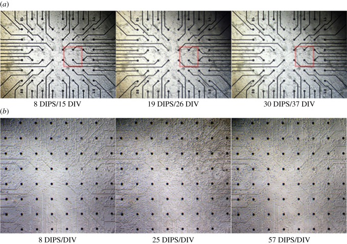 Figure 6.