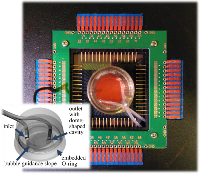 Figure 1.