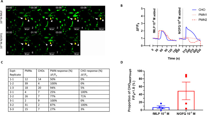 Fig 4