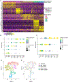 Extended Data Fig. 6.