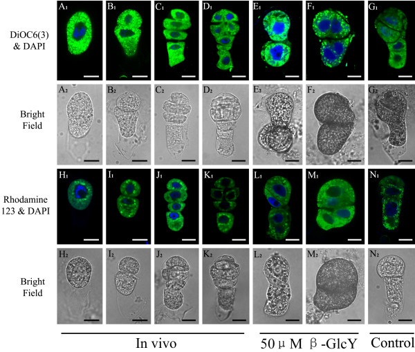 Figure 9 