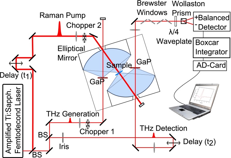 Fig. 5.