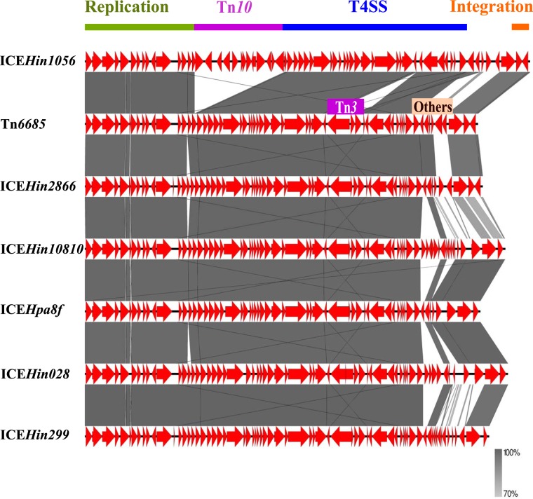 FIG 1