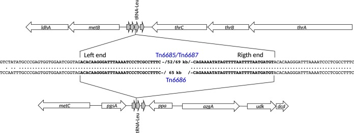 FIG 4