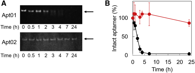 Figure 5