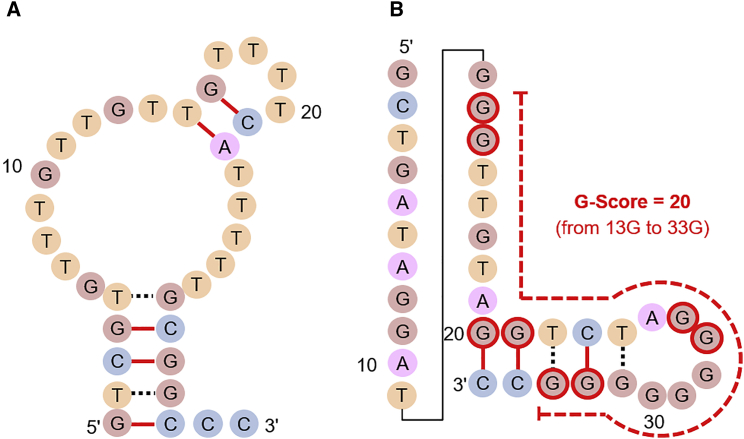 Figure 2