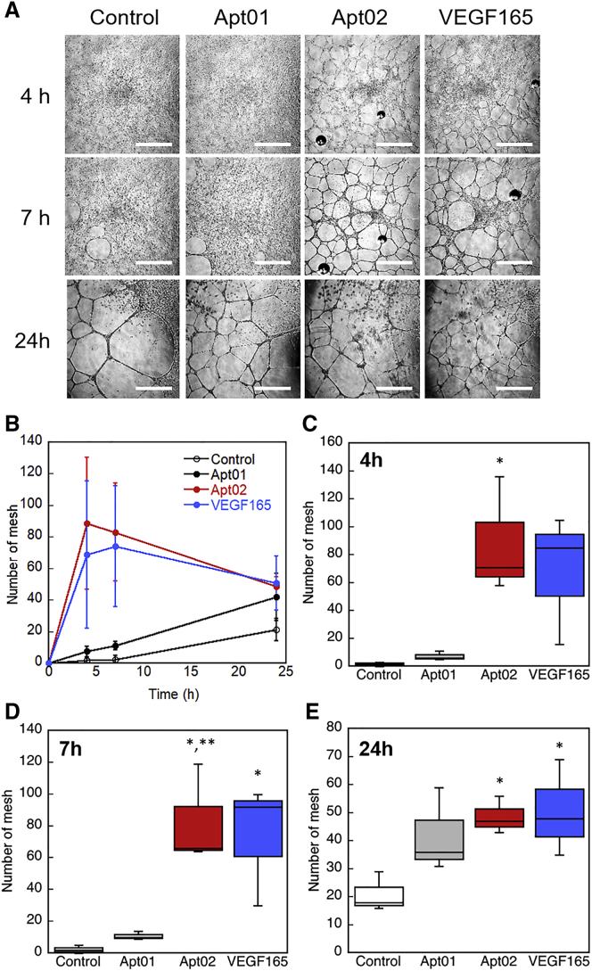 Figure 6