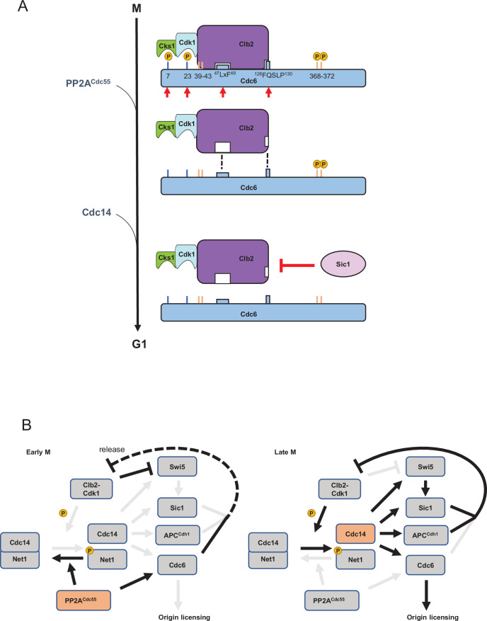 Figure 7.