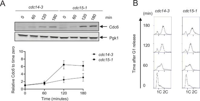 Figure 4—figure supplement 1.