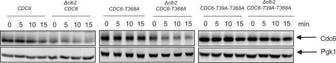 Figure 2—figure supplement 1.