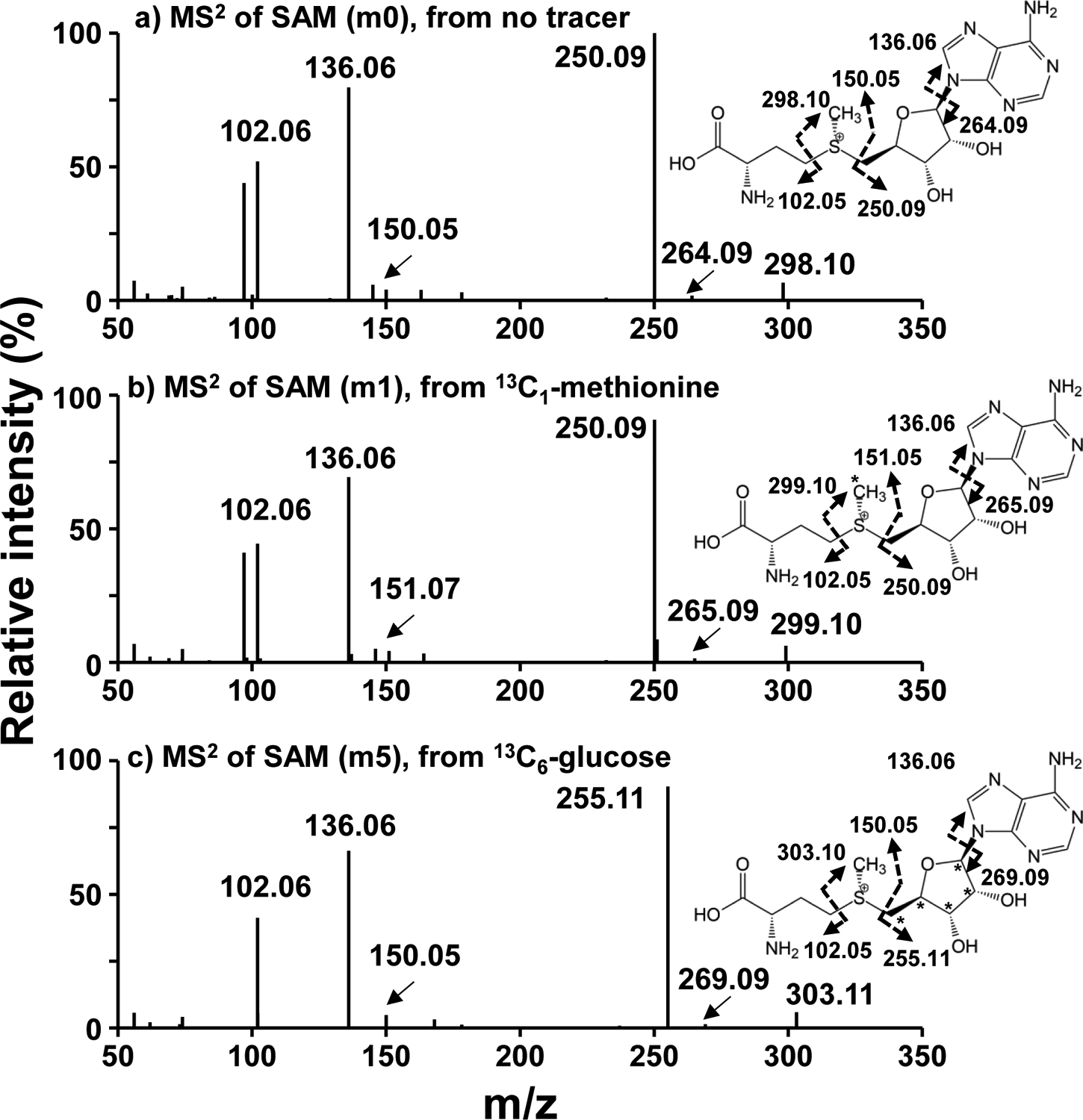 Figure 6.