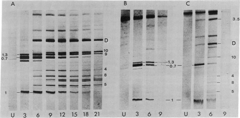 graphic file with name pnas00049-0249-a.jpg