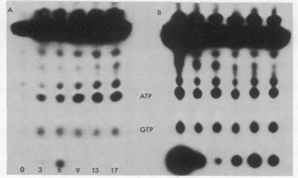 graphic file with name pnas00049-0250-b.jpg