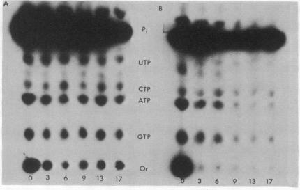 graphic file with name pnas00049-0250-a.jpg