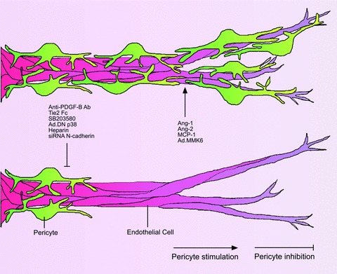 Fig 5