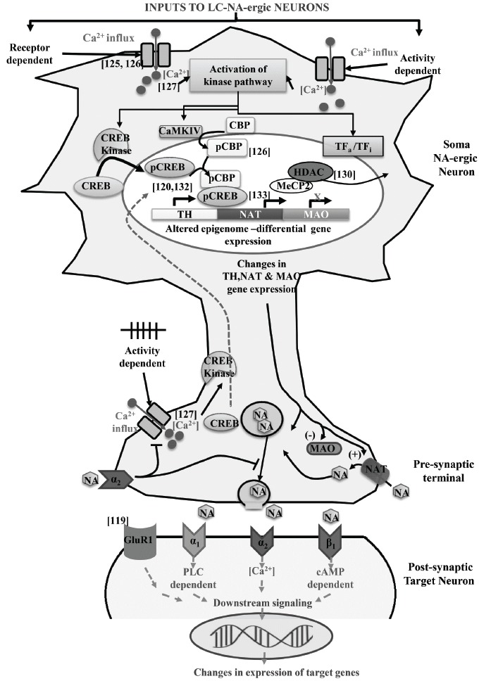 Fig. (3)