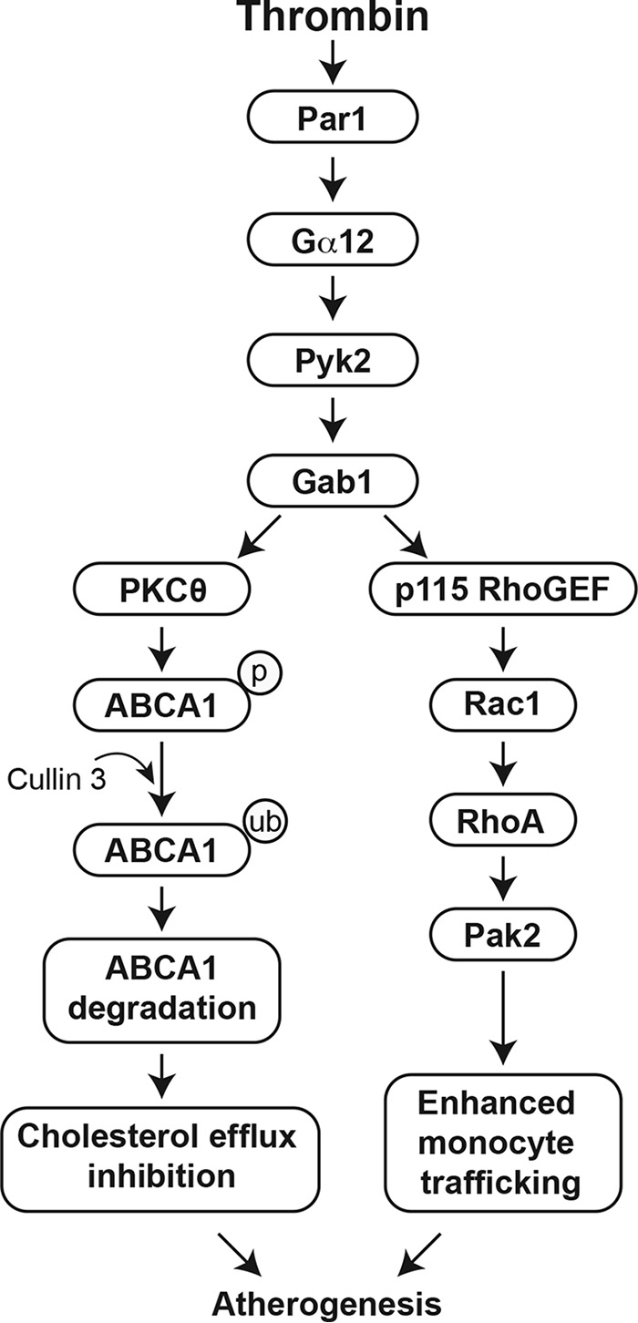 Figure 10.