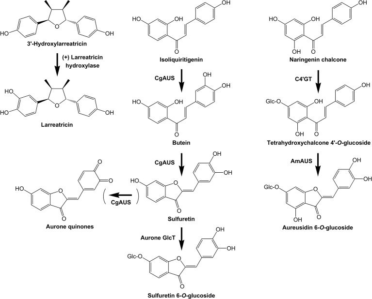 Figure 6