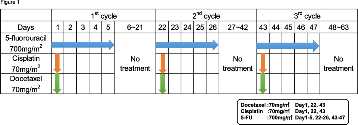 Fig. 1