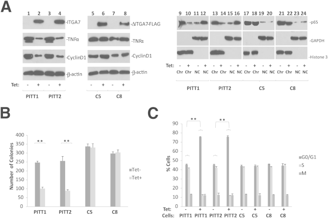 Figure 5