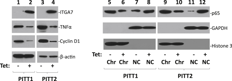 Figure 3