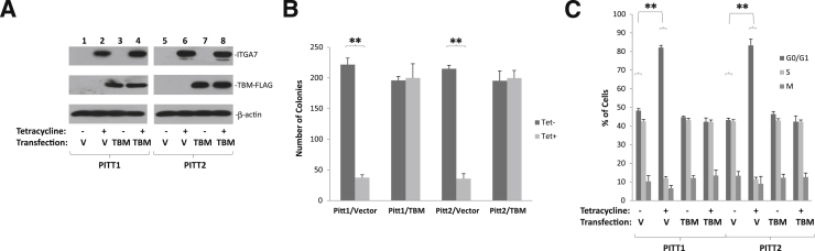 Figure 6