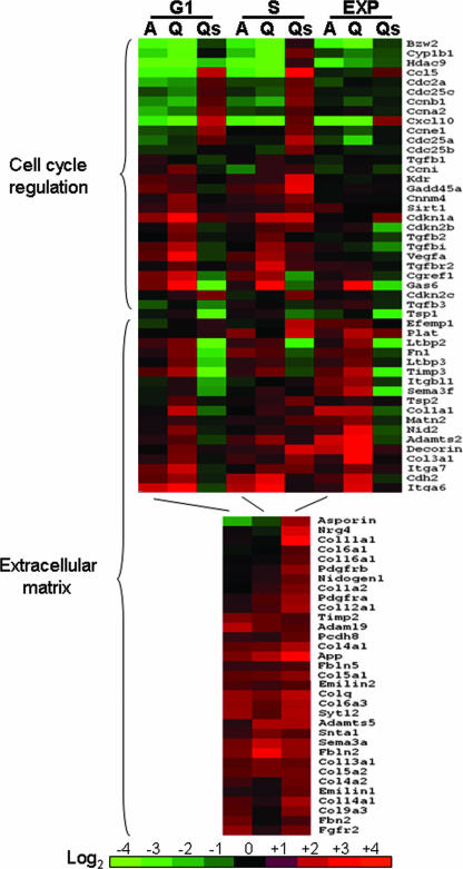 FIG. 4.