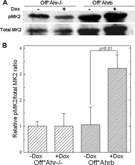 FIG. 7.