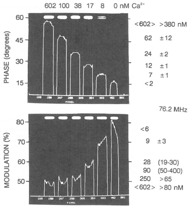 Fig. 12.