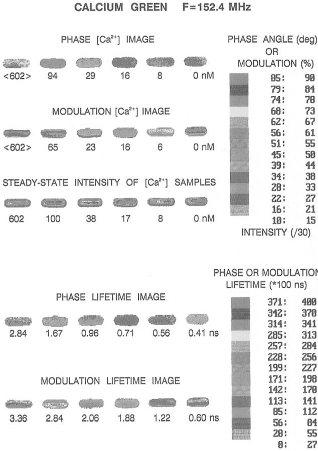 Fig. 16.