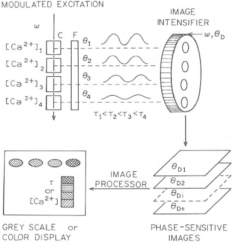 Fig. 1.