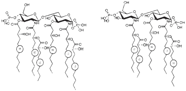 Figure 22