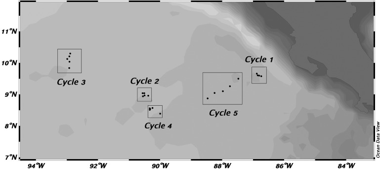 Fig. 1.