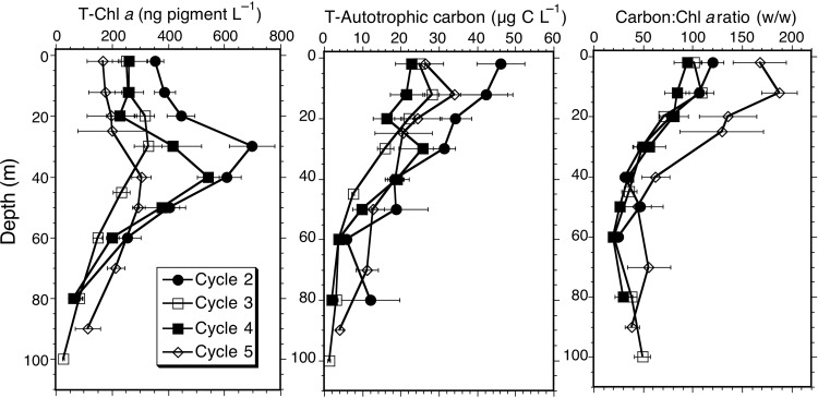 Fig. 3.