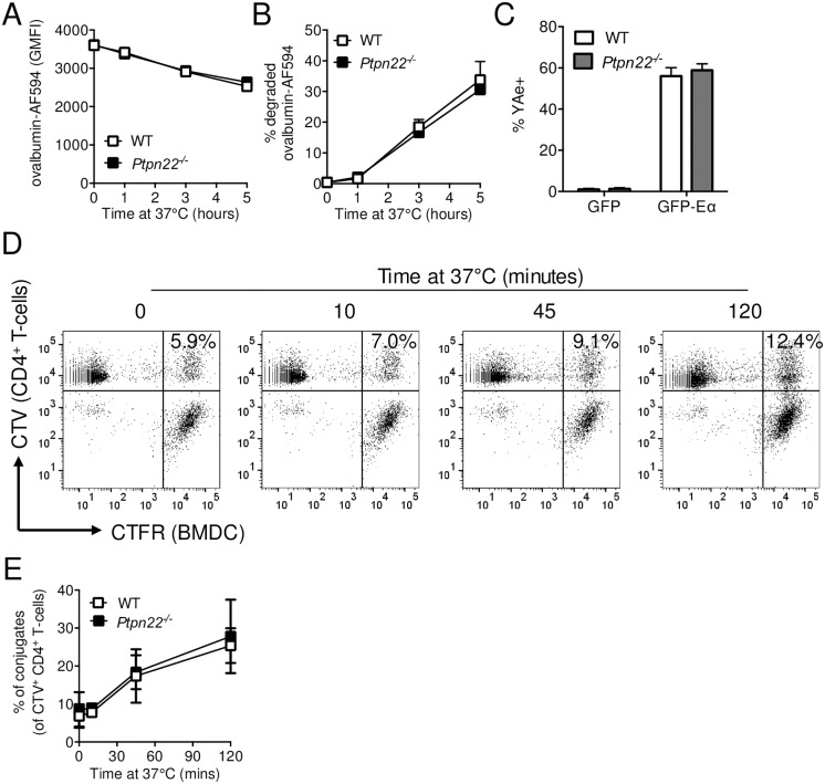 Fig 4