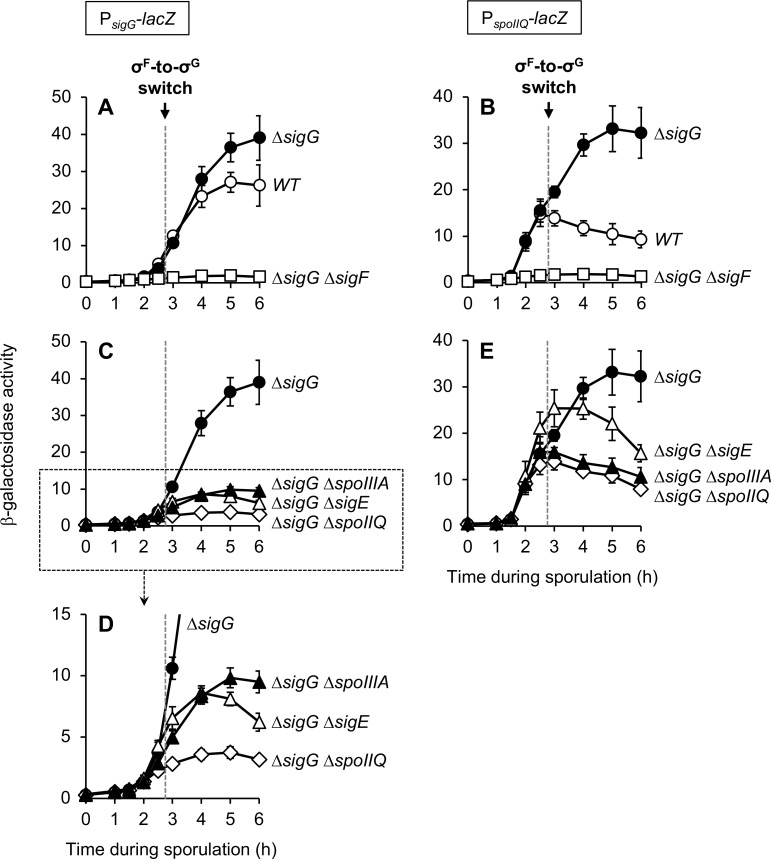 Fig 3