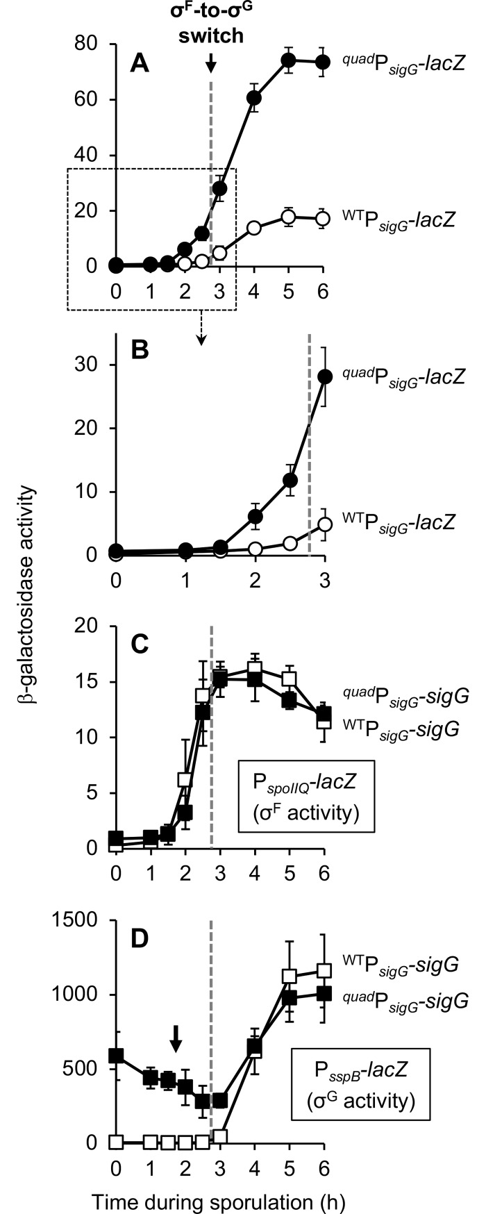 Fig 6