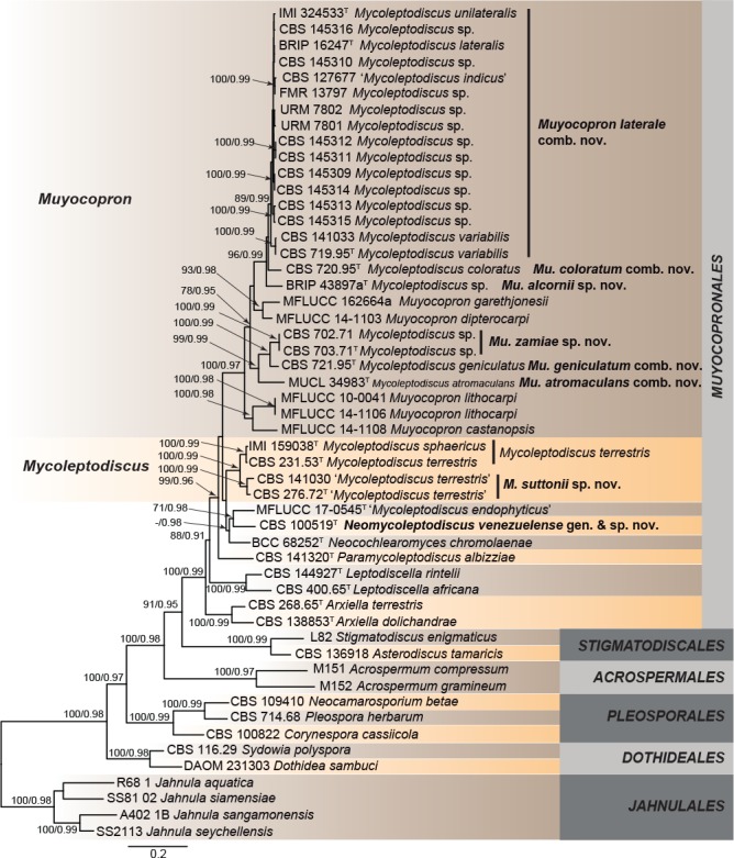 Fig. 1