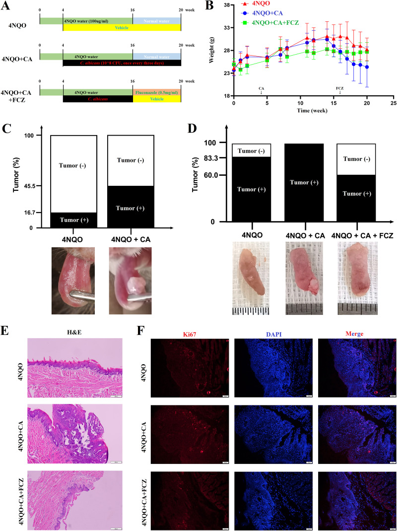 FIG 1