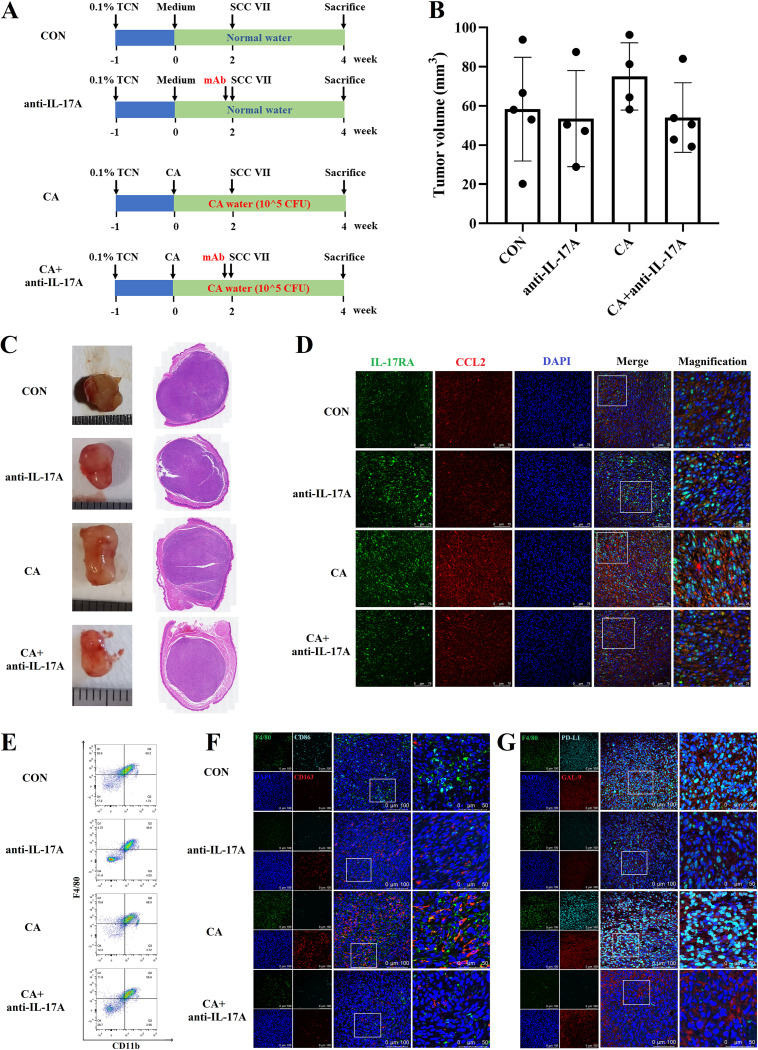 FIG 4