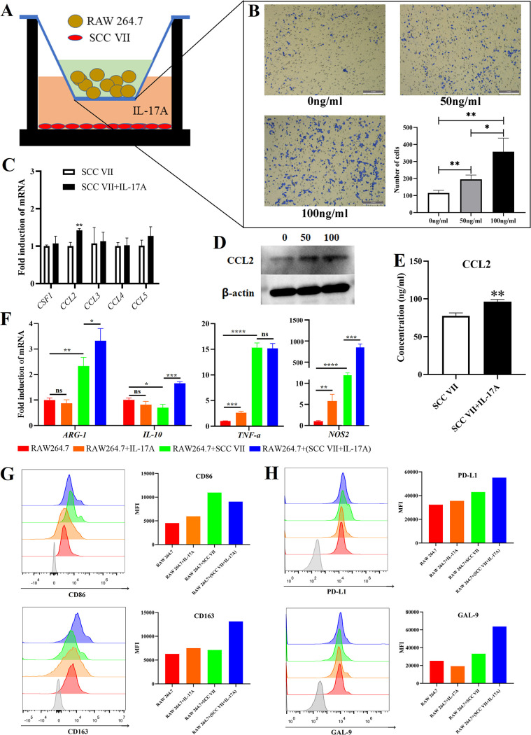 FIG 3