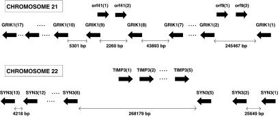 Fig 1.